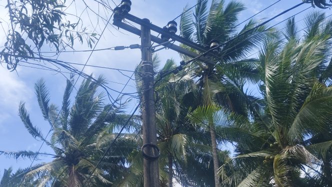 
 Aktivis Soroti Kabel WiFi Lokal Menumpang di Tiang Listrik di Rubaru, Diduga Ada Pembiaran