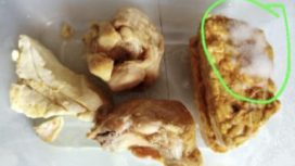 Miris tempe goreng berjamur disuguhkan ke anak didik. ©timeskota.com/Basyori