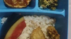 Menu Mbg hari ini pengelola dapur di desa pordepor di bawah naungan yayasan darul arqom batugerbuy
Dua Goreng tempe kecil.dua iris semangka kecil.telur mata sapi.sayur sedikit