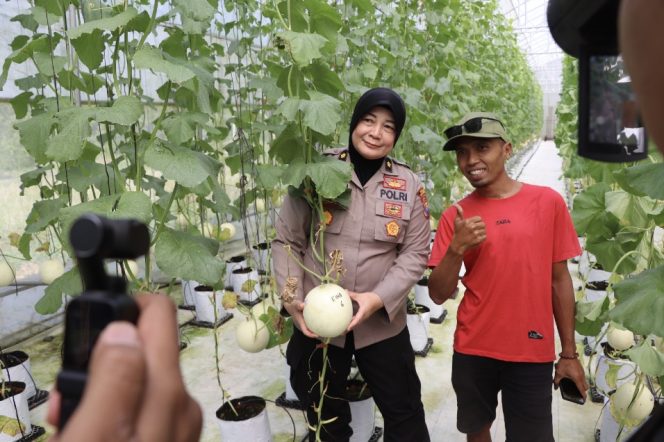 
 Panen Melon Smart Farming di Kasengan Jadi Bukti Pertanian Modern Mampu Perkuat Ketahanan Pangan Sumenep