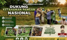 POLRESTA SUMENEP DUKUNG SWASEMBADA PANGAN, BHABINKAMTIBMAS POLSEK AMBUNTEN PANEN PADI BERSAMA PETANI DI DESA TAMBA’AGUNG