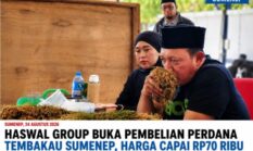 Haswal Group Buka Pembelian Perdana Tembakau Sumenep, Harga Capai Rp70 Ribu